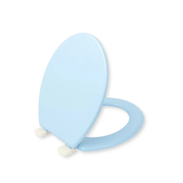 AIYI Toilet Seat Cover blue AY172-008 Blue