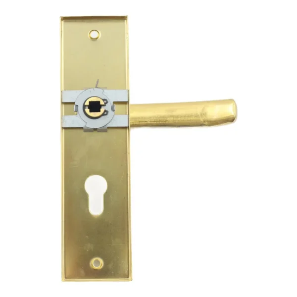 Door lock AY199-039