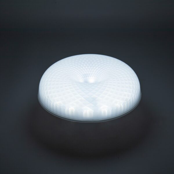 AIYI 24W B22 Donut LED Ceiling Light AY398-011