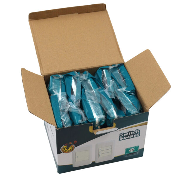 SA and one Euro Socket 2*4 AY299-713