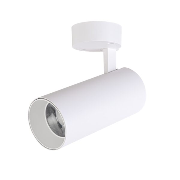 LED CEILING LIGHT WHITE 30W AY398-061