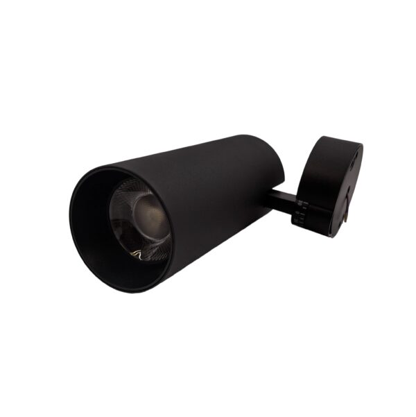 LED CEILING LIGHT BLACK 30W AY398-060