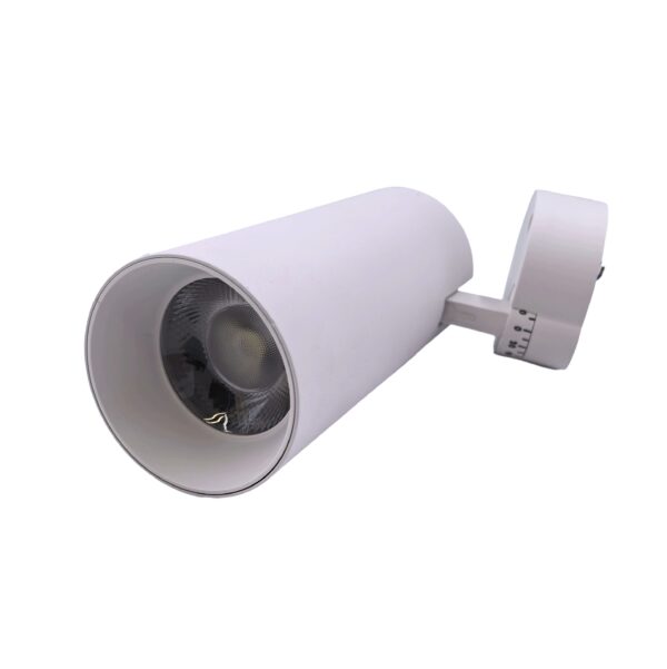 LED CEILING LIGHT WHITE 30W AY398-061