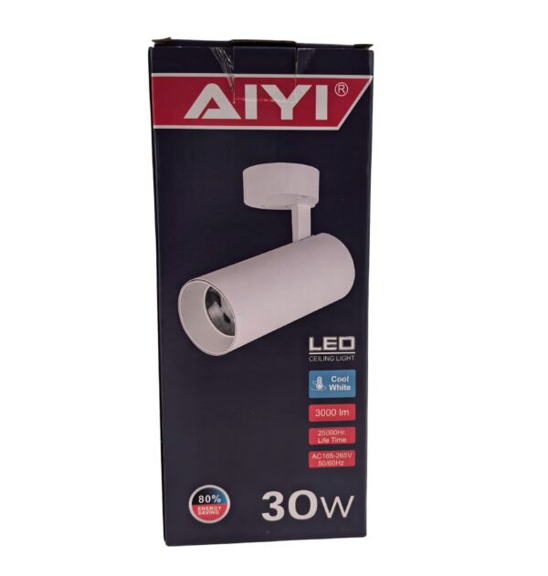 LED CEILING LIGHT WHITE 30W AY398-061