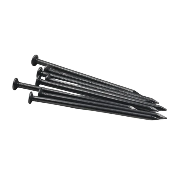4 Inch (100mm) 500g Heavy-Duty Steel Nails AY006-016