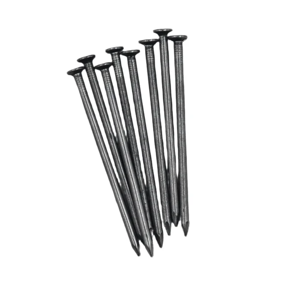 4 Inch (100mm) 500g Heavy-Duty Steel Nails AY006-016