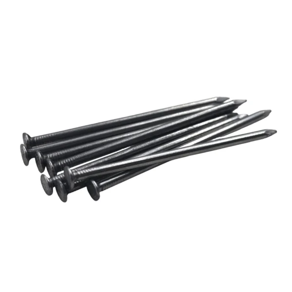 4 Inch (100mm) 500g Heavy-Duty Steel Nails AY006-016