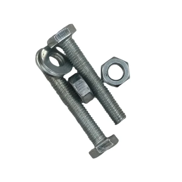 Set Scr& Nut Galv 6pcs M10*60 AY199-365
