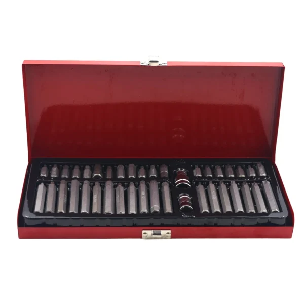 AIYI 40-Piece CR-V Bit Set with Metal Case, Hex, Torx & Spline Bits with Adapters AY001-175