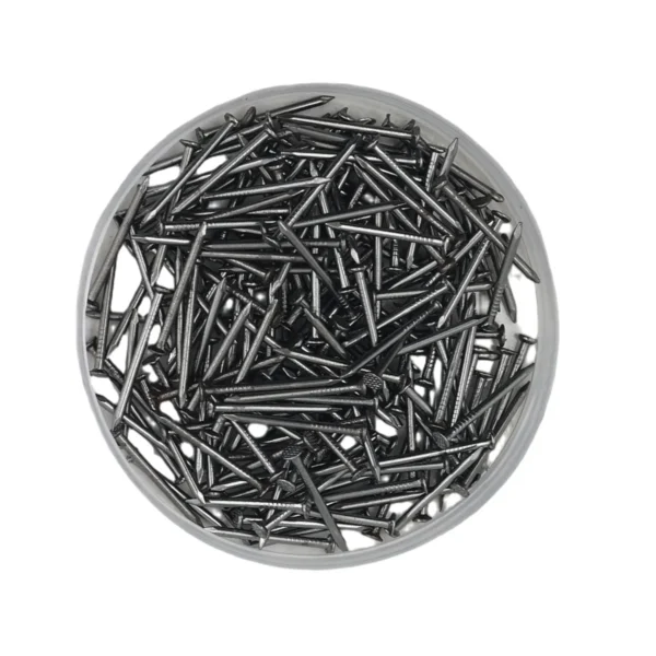 AIYI 1000g 1 x 25mm Steel Nails AY199-545