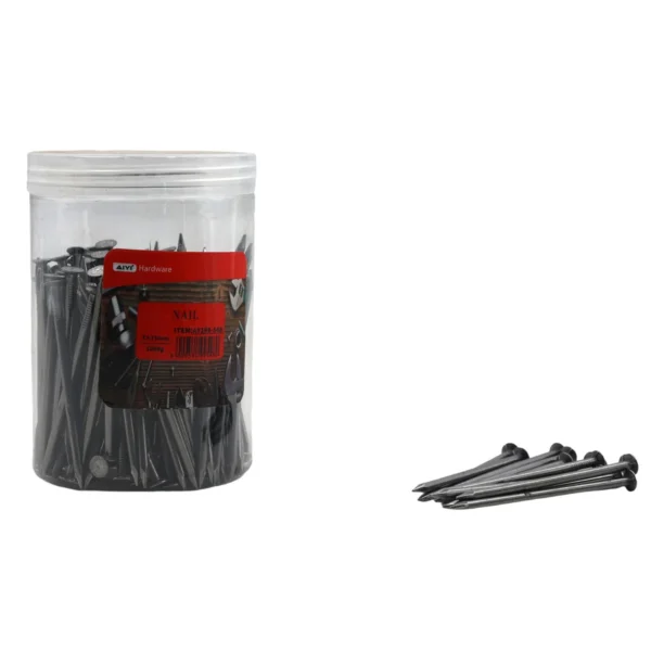 AIYI 1000g 3 x 75mm Steel Nails AY199-548