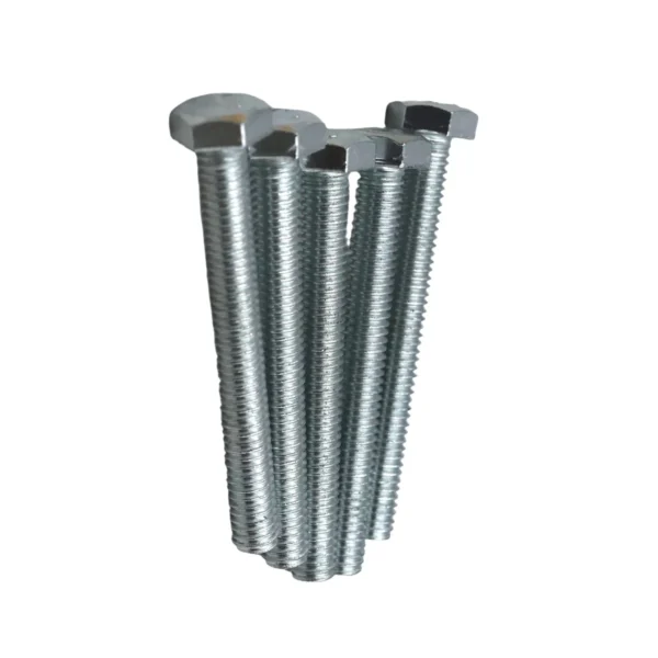 Set Scr& Nut Galv 10pcs M6*50 AY199-352