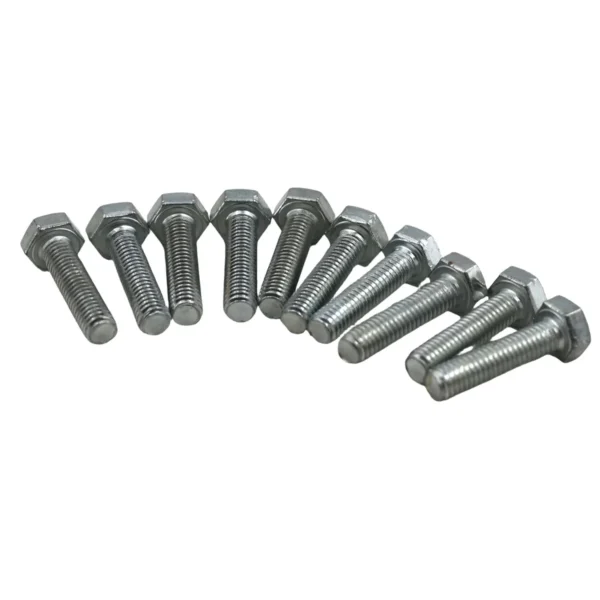Set Scr& Nut Galv 10pcs M6*25 AY199-349
