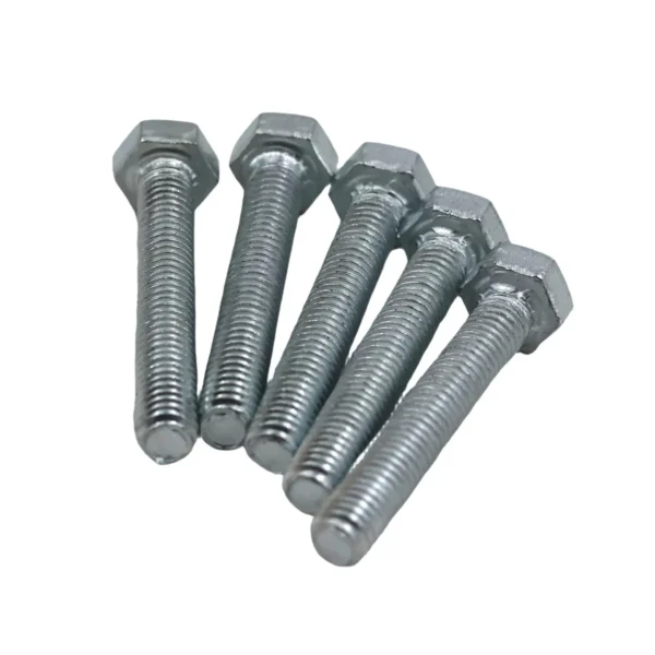 Set Scr& Nut Galv 10pcs M6*40 AY199-351