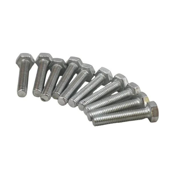 Set Scr& Nut Galv 10pcs M6*30 AY199-350