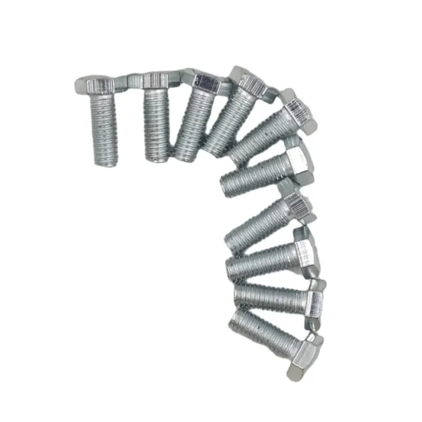 Set Scr& Nut Galv 10pcs M6*16 AY199-348