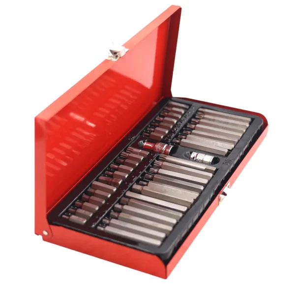 AIYI 40 Piece CR-V Torx Bit Set in Red Metal Case, Hex Spline Torx AY187-002