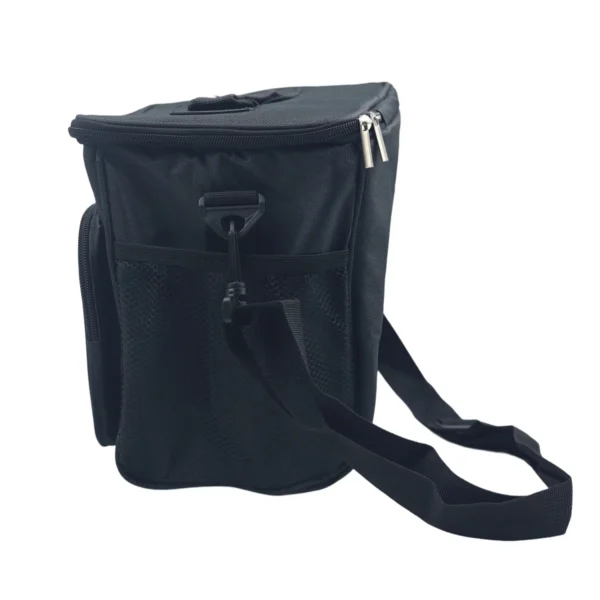 Insulated Cooler Bag, Portable Thermal Lunch & Food Storage Bag AY095-003