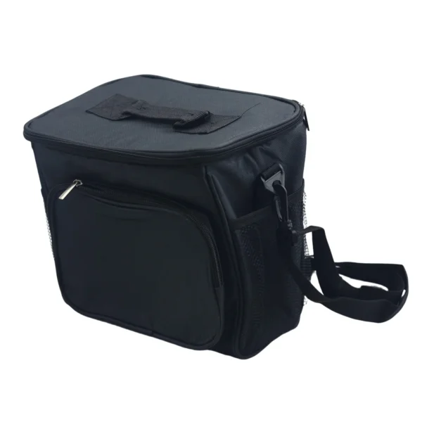 Insulated Cooler Bag, Portable Thermal Lunch & Food Storage Bag AY095-003