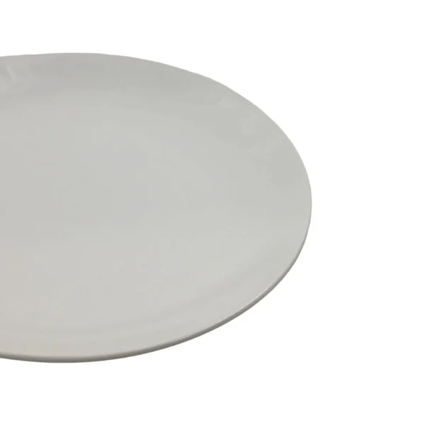 Ceramic plate 10.5" AY379-021