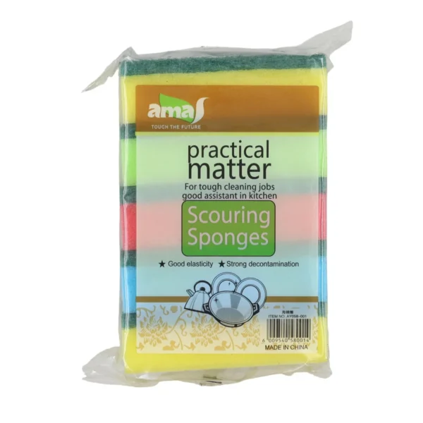 5 Piece Kitchen Scouring Sponges AY058-001