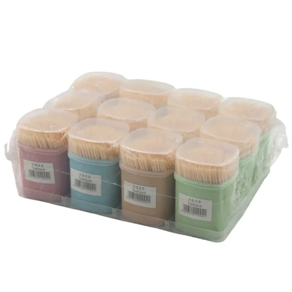 12 Piece Toothpick Set - Assorted Colour Toothpick Holders with Wooden Toothpicks AY212-004