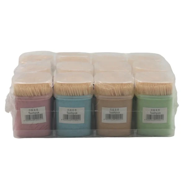 12 Piece Toothpick Set - Assorted Colour Toothpick Holders with Wooden Toothpicks AY212-004