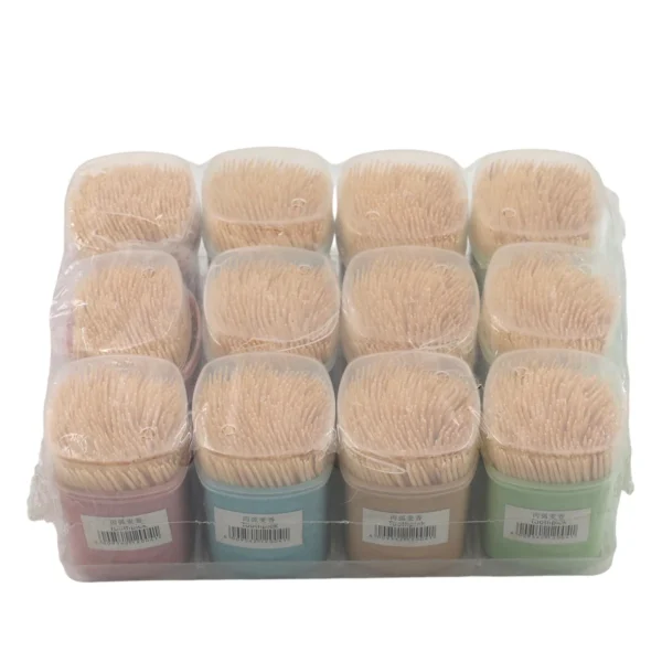 12 Piece Toothpick Set - Assorted Colour Toothpick Holders with Wooden Toothpicks AY212-004