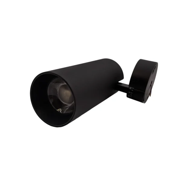 LED CEILING LIGHT BLACK 30W AY398-060