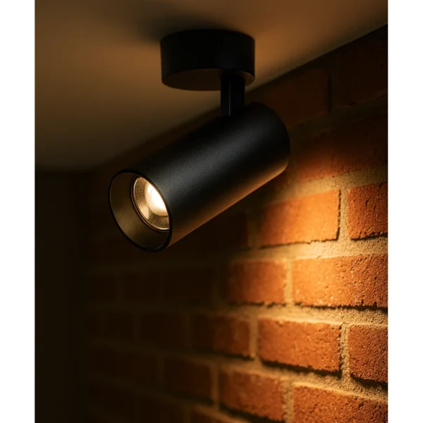LED CEILING LIGHT BLACK 30W AY398-060