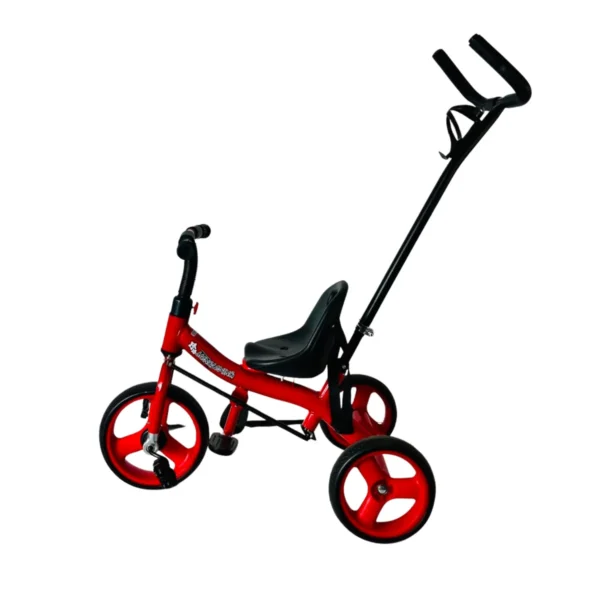 Kids Tricycle with Parent Push Handle AY421-002