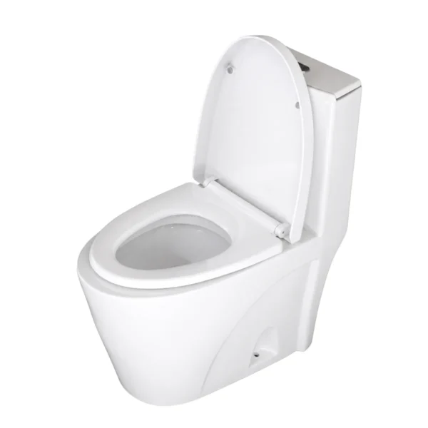 Sanitary waer (Toilet bowl+tank）700*355*725 AY266-010