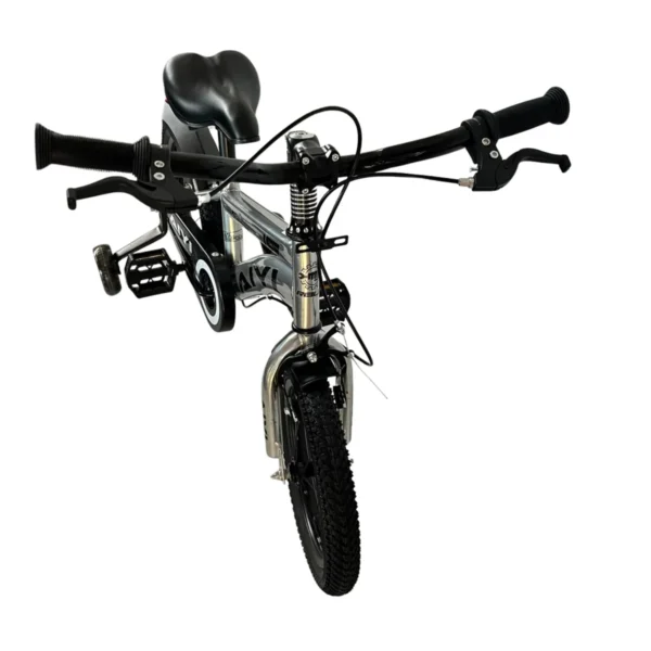AIYI Kids Bicycle with Training Wheels, Chain Guard and Mudguards AY423-007