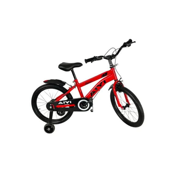 AIYI Kids Bicycle with Training Wheels, Chain Guard and Mudguards AY423-009