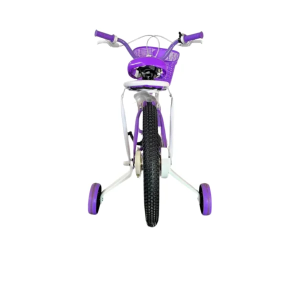 Kids Bicycle with Training Wheels and Chain Guard AY421-007