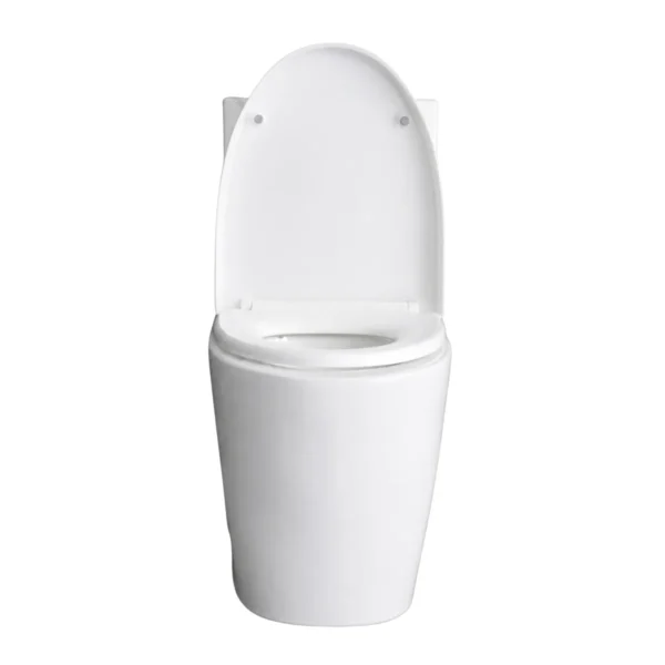 Sanitary waer (Toilet bowl+tank）700*355*725 AY266-010