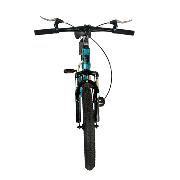 Mountain Bike with Front Suspension and Kickstand AY421-005