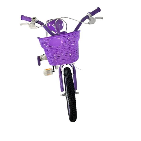 Kids Bicycle with Training Wheels and Chain Guard AY421-007