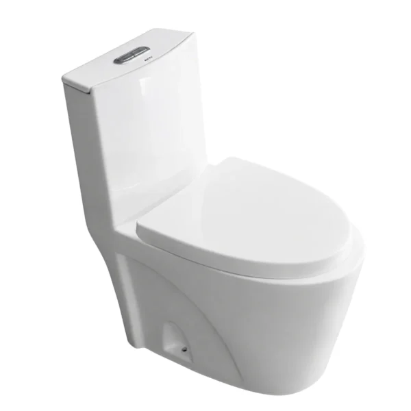 Sanitary waer (Toilet bowl+tank）700*355*725 AY266-010